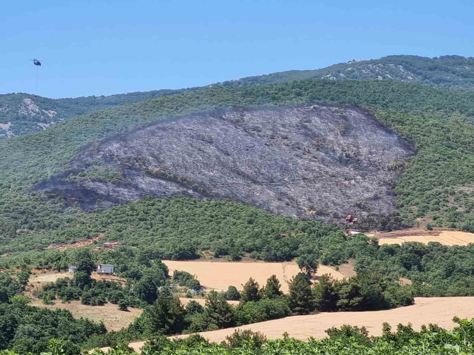 Yenişehir ilçesindeki yangın söndürüldü