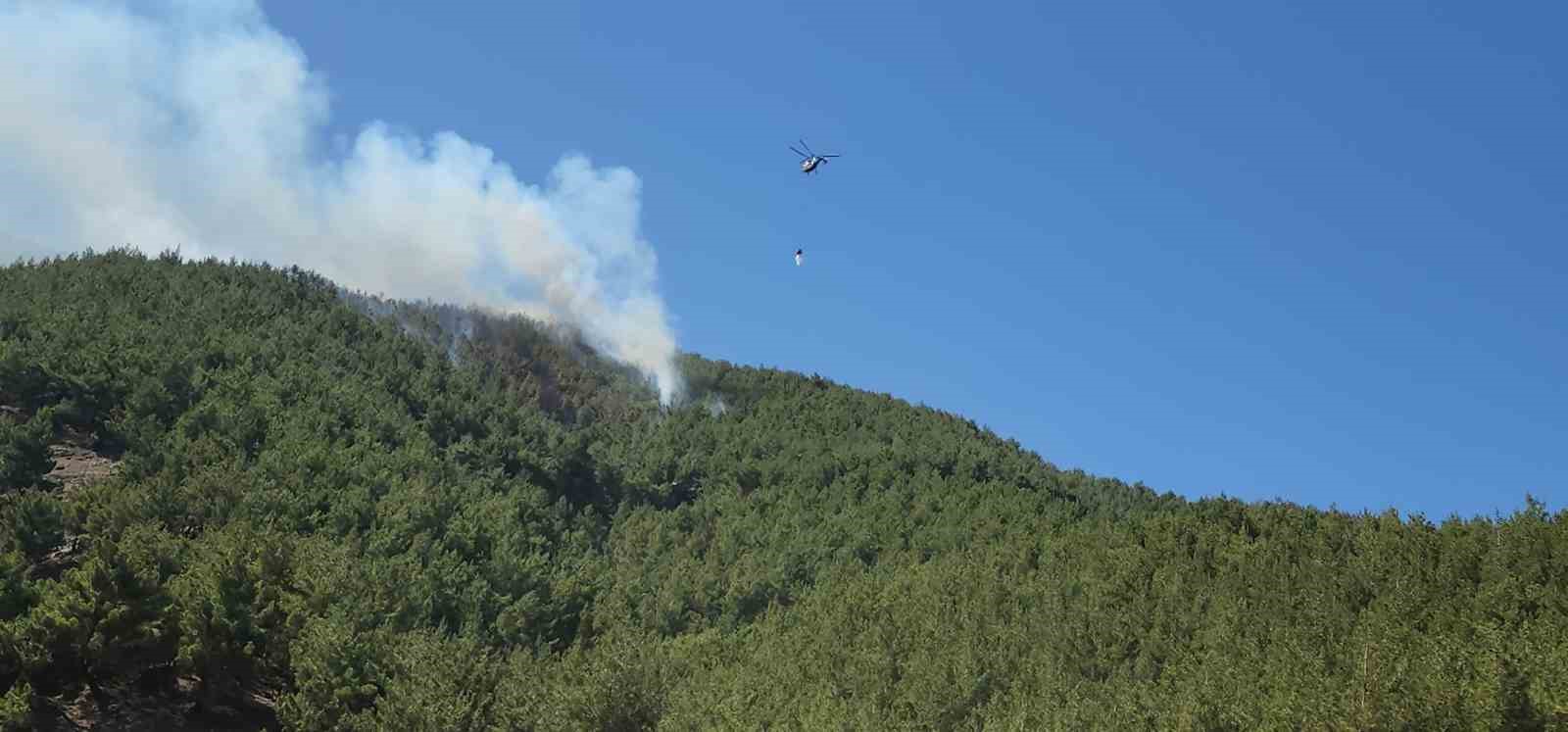 Hatay’da orman yangını havadan müdahaleyle kontrol altına alındı