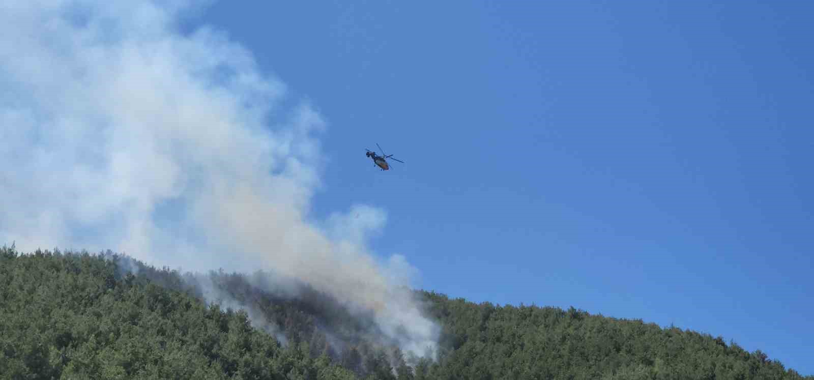 Hatay&rsquo;da orman yangını havadan m&uuml;dahaleyle kontrol altına alındı
