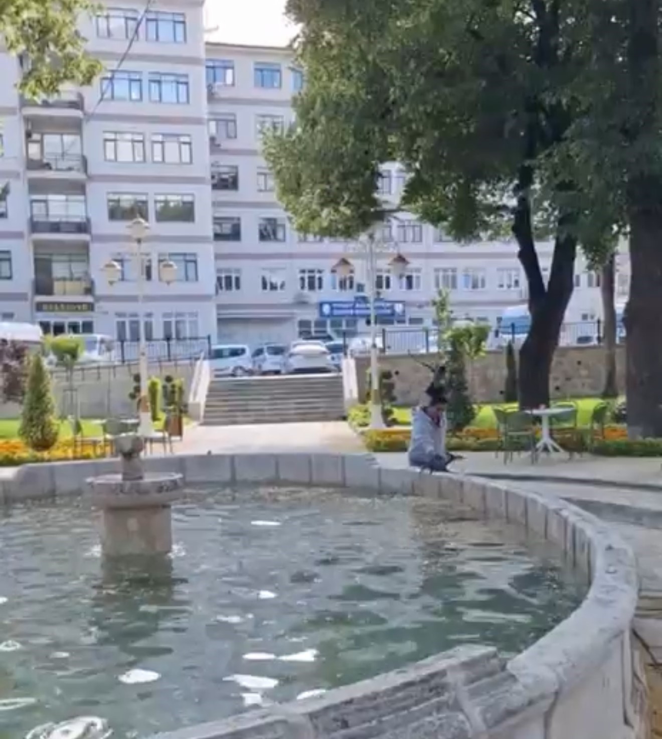 Yavru kargayı kurtarmak istedi, diğer karganın saldırısıyla hastanelik oldu