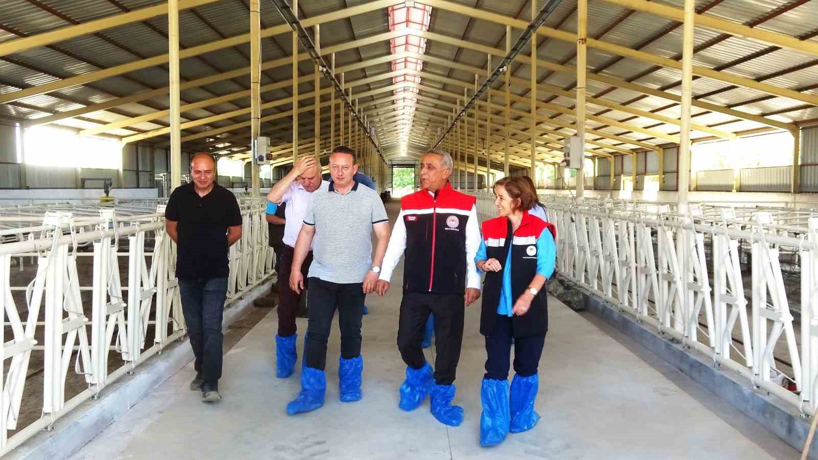 Samsun&rsquo;da ari işletme sayısı 10&rsquo;a y&uuml;kseldi
