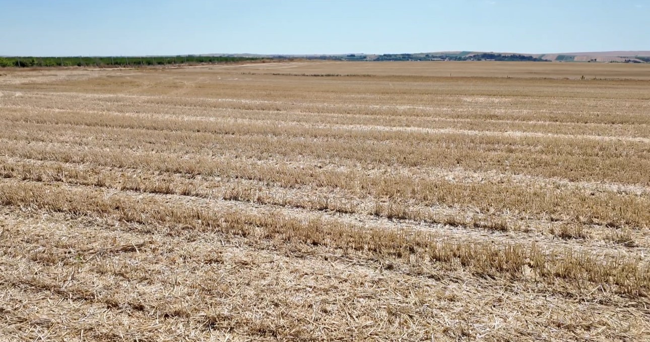 Vali Sezer’den yangın uyarısı: "Bir kıvılcım, bir yılı yok eder"