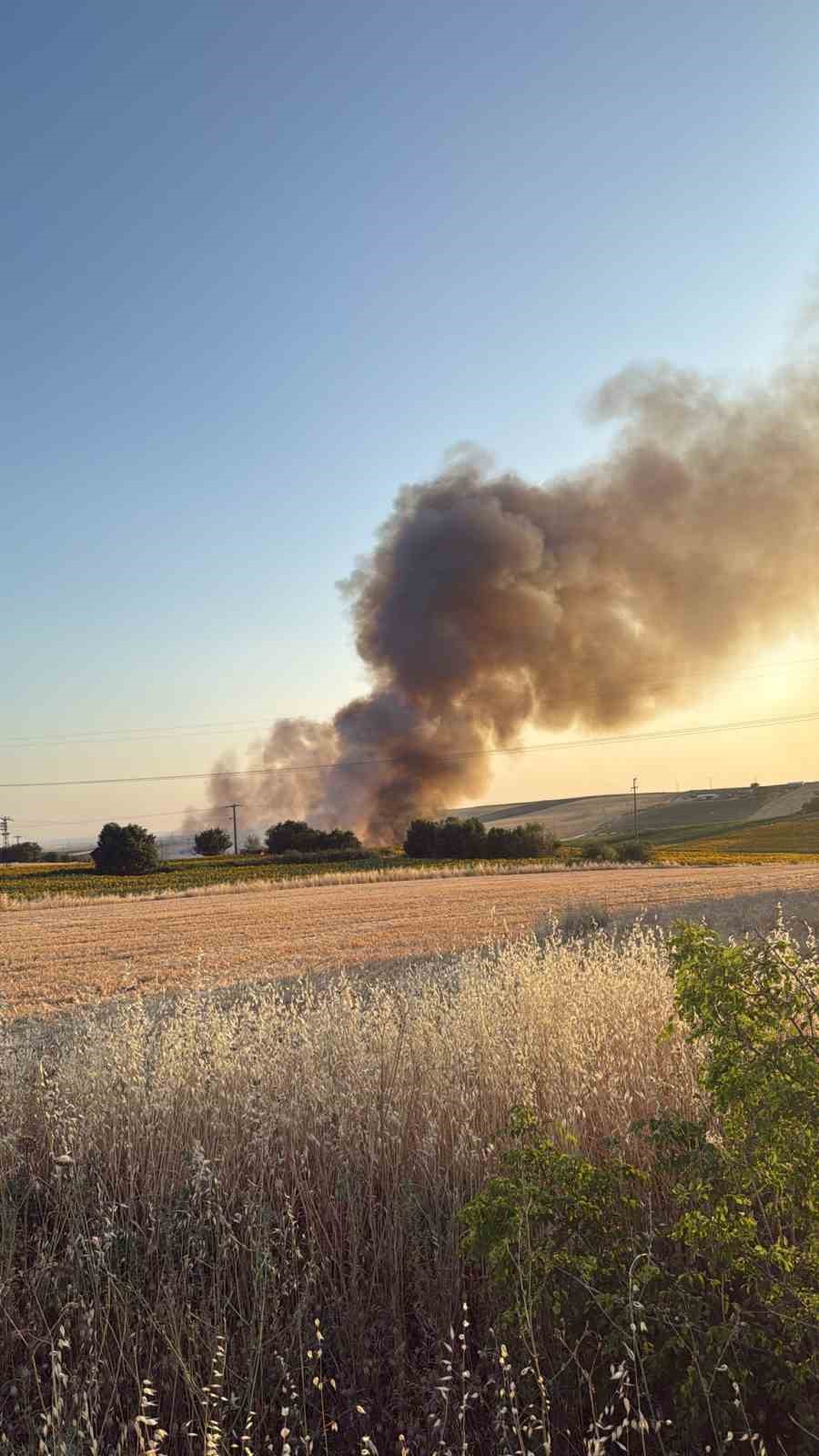 Lüleburgaz’da buğday tarlasında yangın