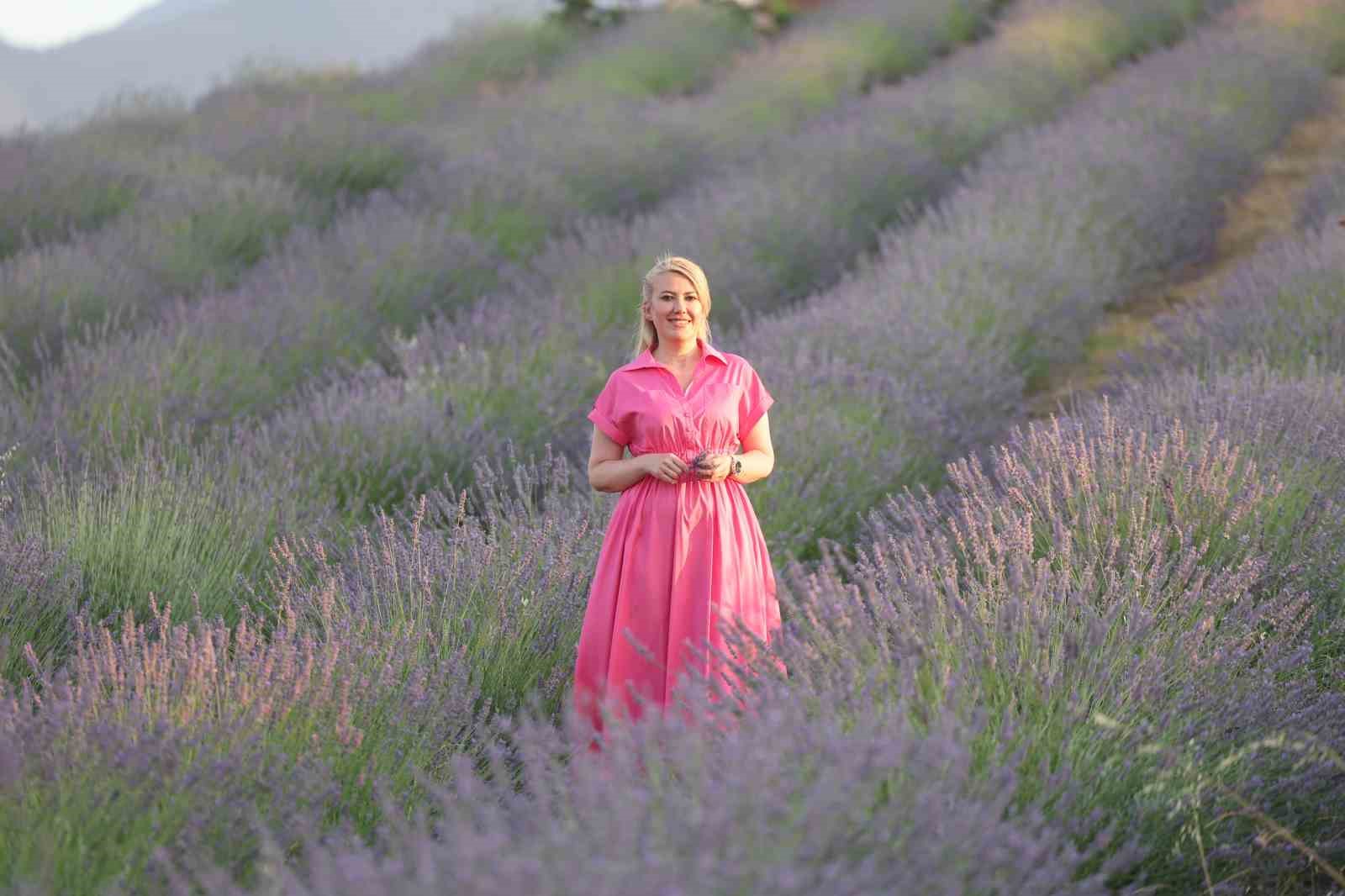 Merkezefendi’nin lavanta bahçesi ziyaretçilerini bekliyor