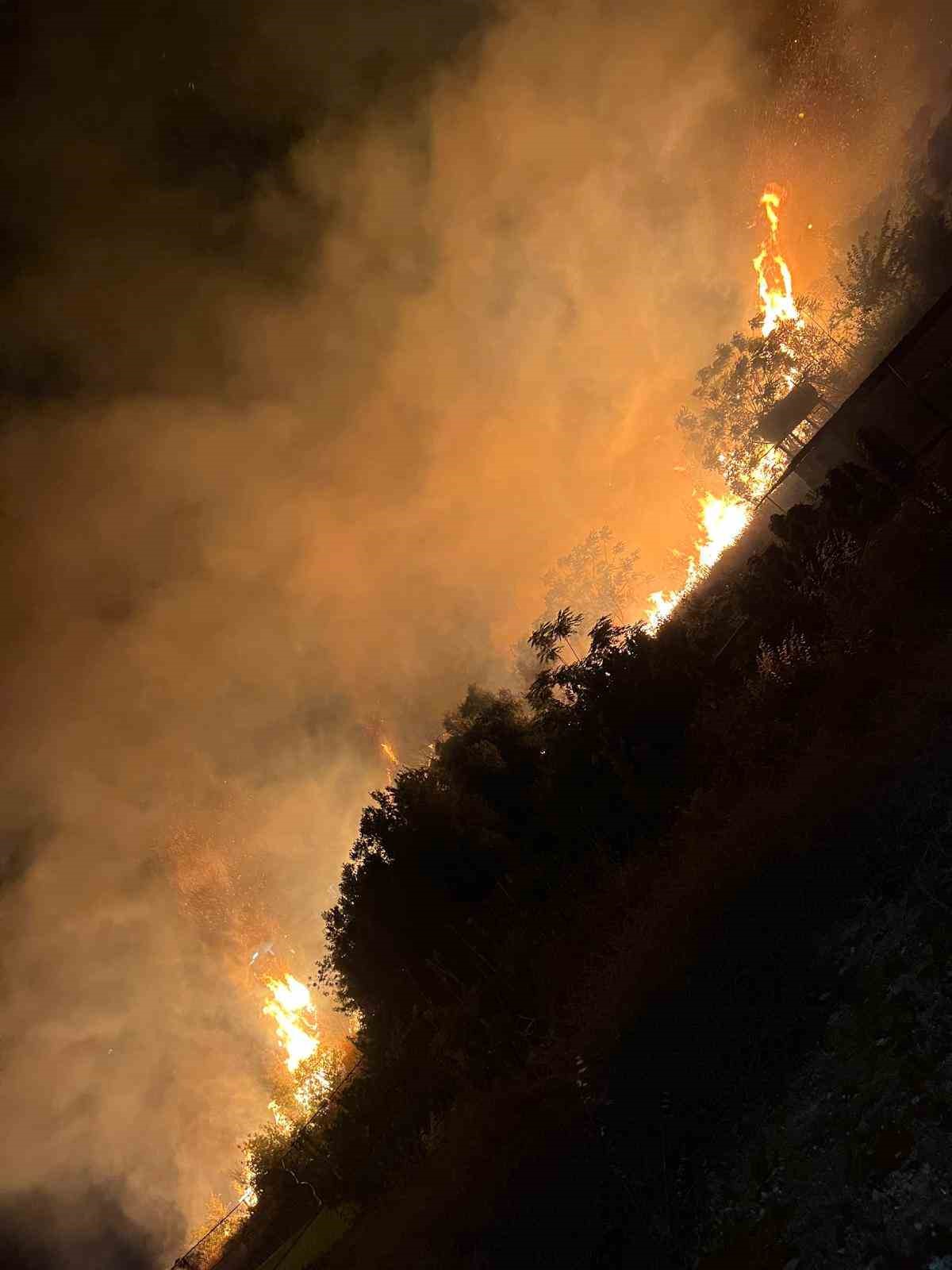 Samandağ&rsquo;da evin bah&ccedil;esinden alevler y&uuml;kseldi
