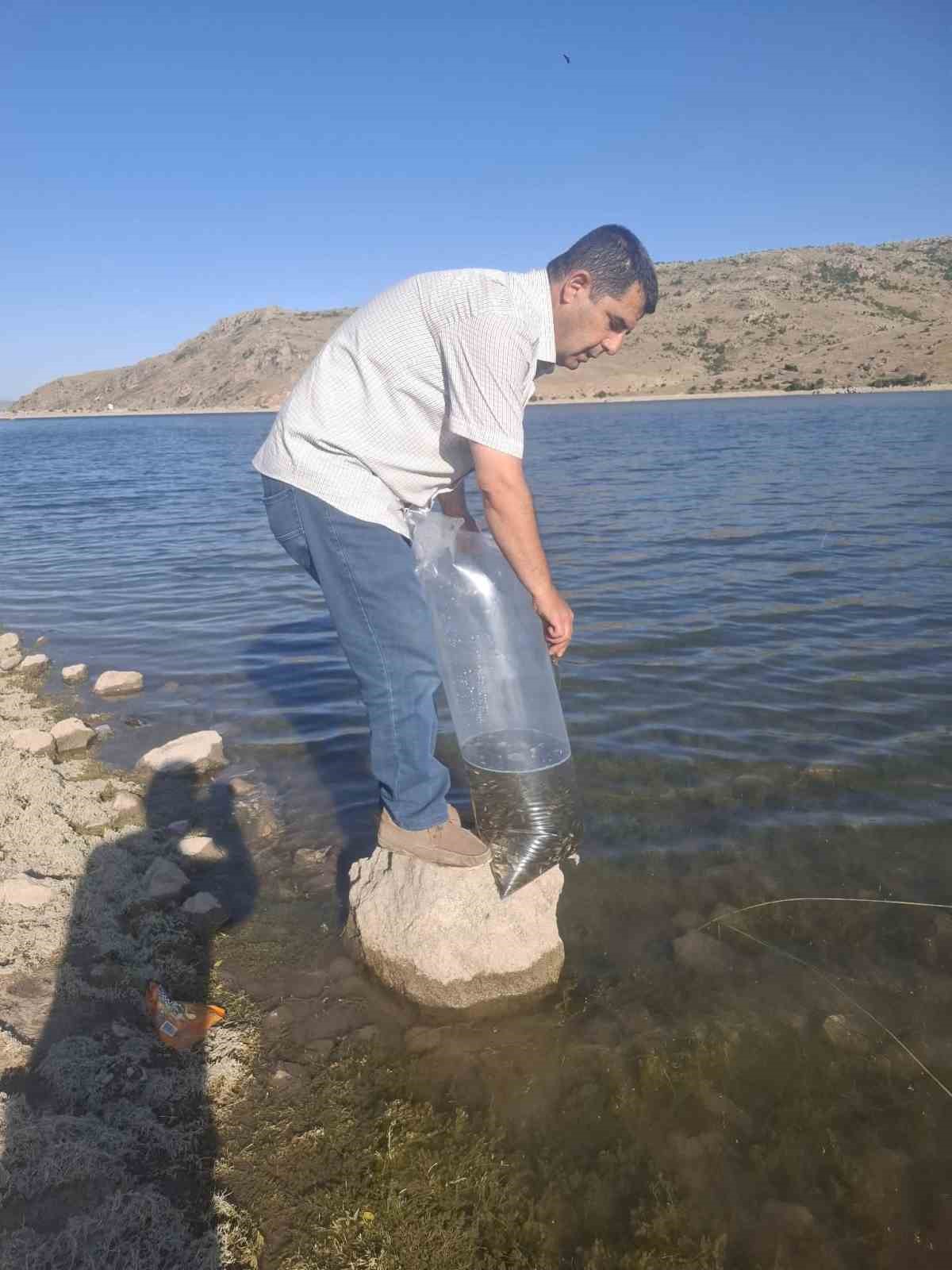 Göletlere 85 bin yavru sazan balığı bırakıldı