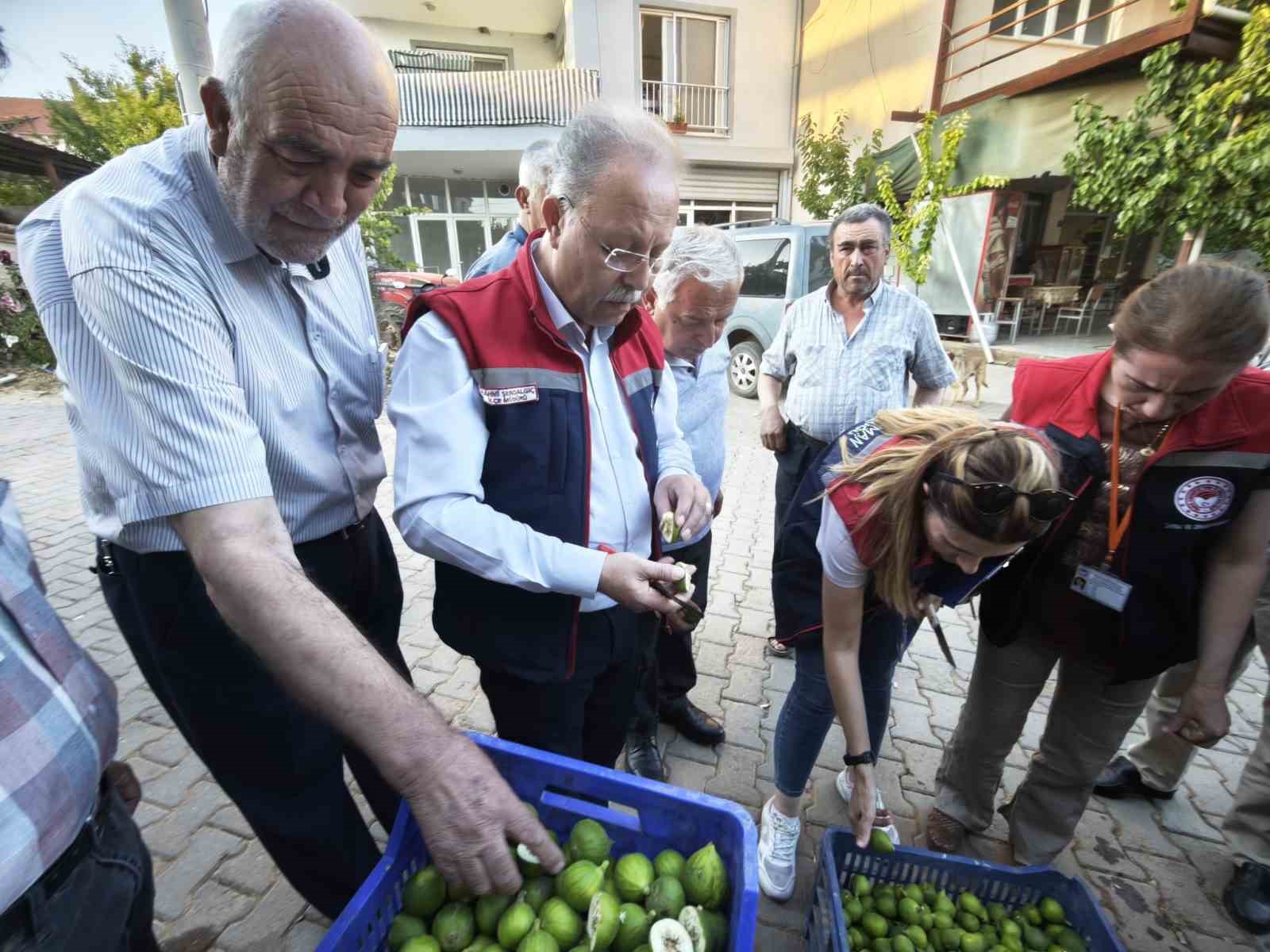 Karacasu’da üreticiye kaliteli ilek uyarısı