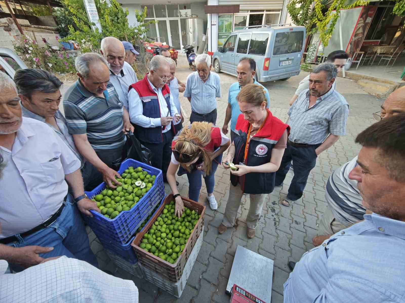 Karacasu’da üreticiye kaliteli ilek uyarısı
