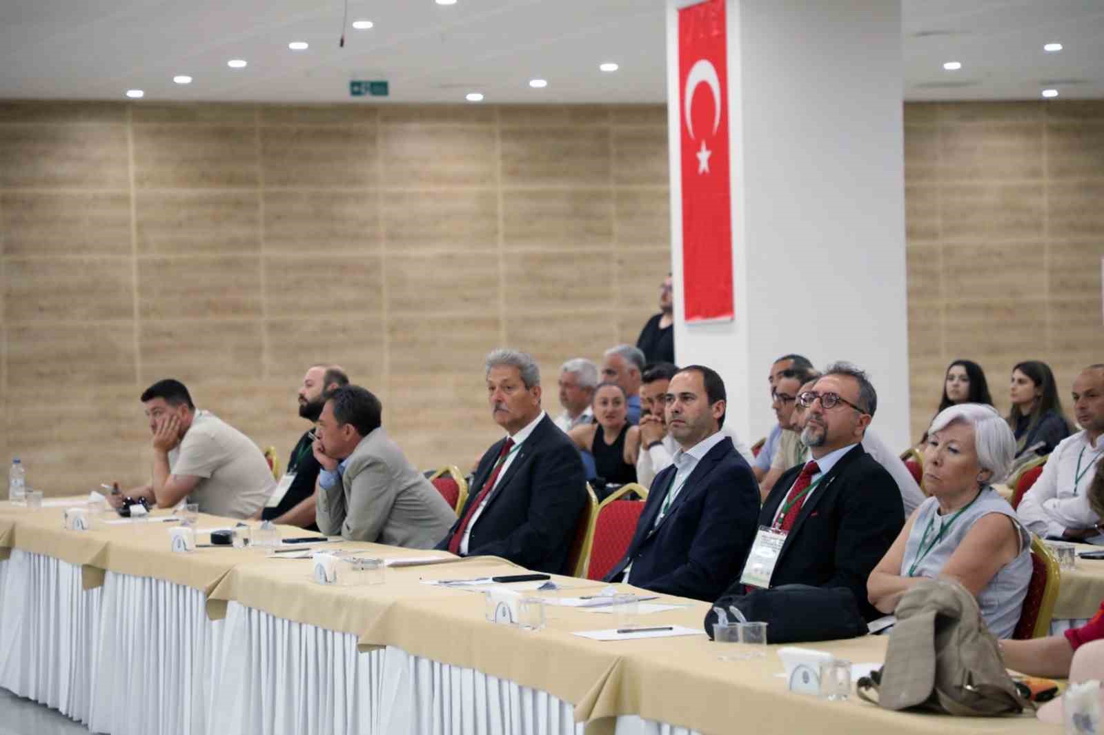 Muğla’da şehir merkezlerine kadar inen yaban domuzlarına çare aranıyor
