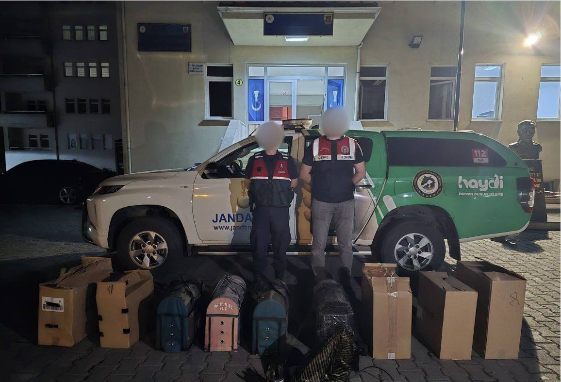 Jandarmadan horoz dövüşüne baskın