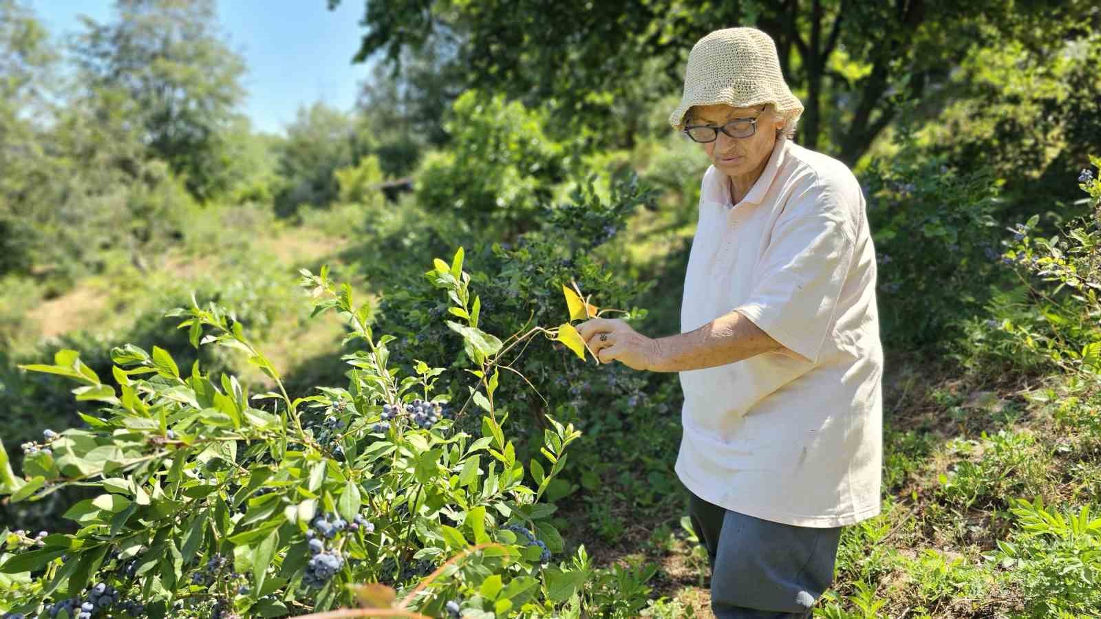 Emekli doktor, ikramiyesiyle kurduğu &ccedil;iftlikte 14 yıldır organik &uuml;retim yapıyor
