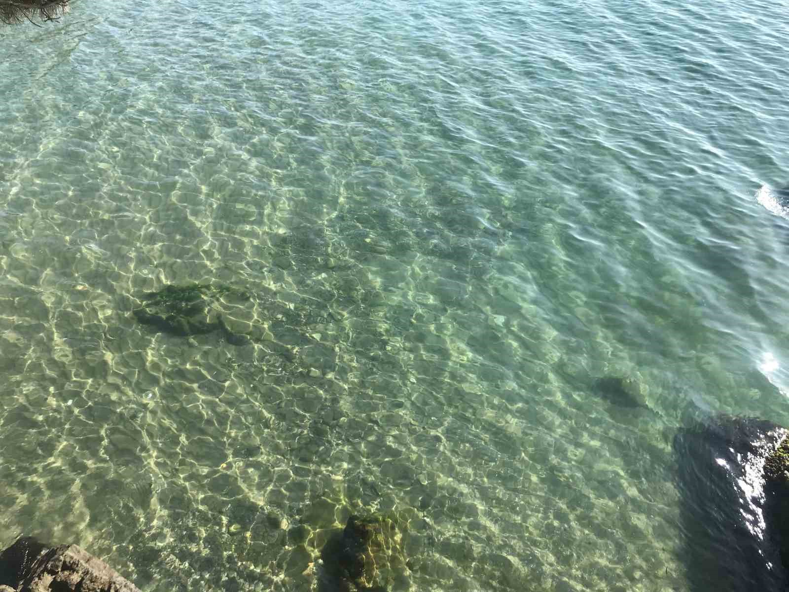 Yakıt dökülen deniz temizlendi: Vatandaşlar soluğu İnkumu’nda aldı