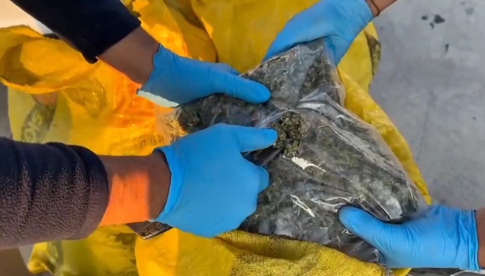 Şanlıurfa&rsquo;da 35 kilogram skunk ele ge&ccedil;irildi: 1 g&ouml;zaltı
