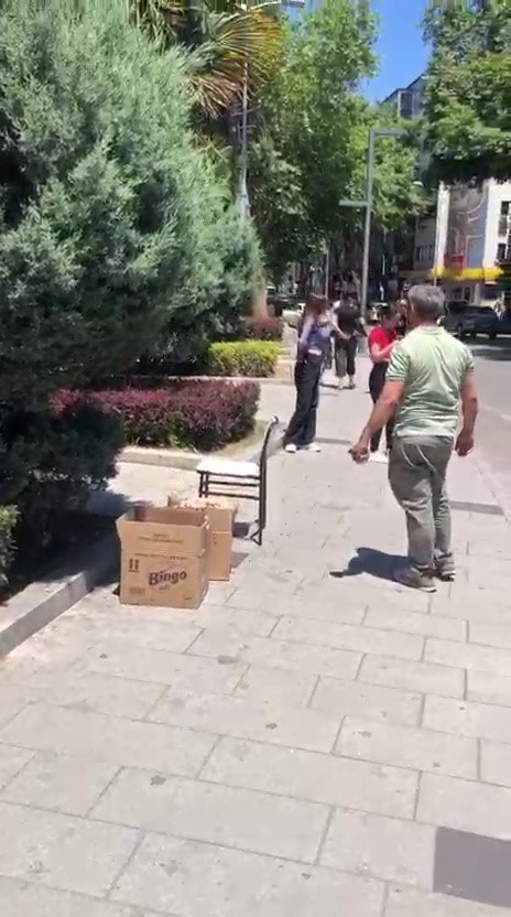 Valilik binası çevresinde süs ağacına kümelenen arılar tedirgin etti
