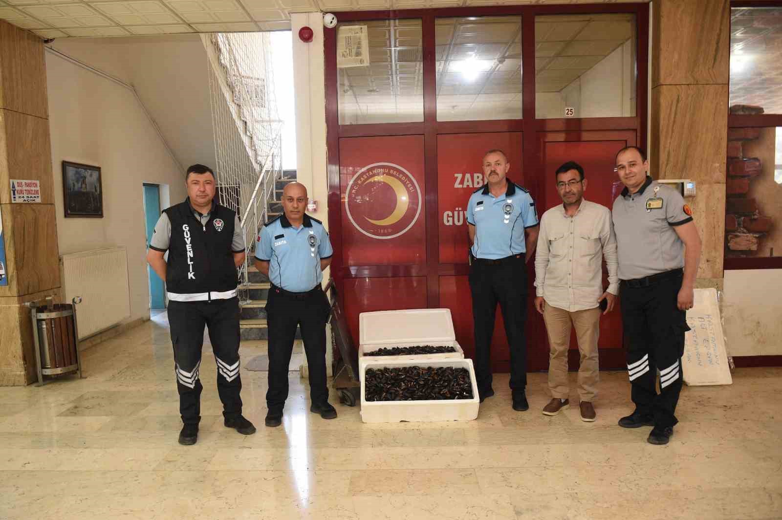 Kastamonu’da 45 kilogram sağlıksız midye ele geçirildi

