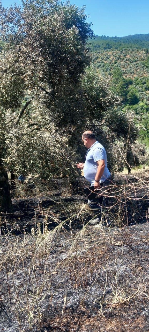 Yeşilyurt&rsquo;taki yangında zarar g&ouml;ren tarım alanlarında hasar tespit &ccedil;alışması yapıldı
