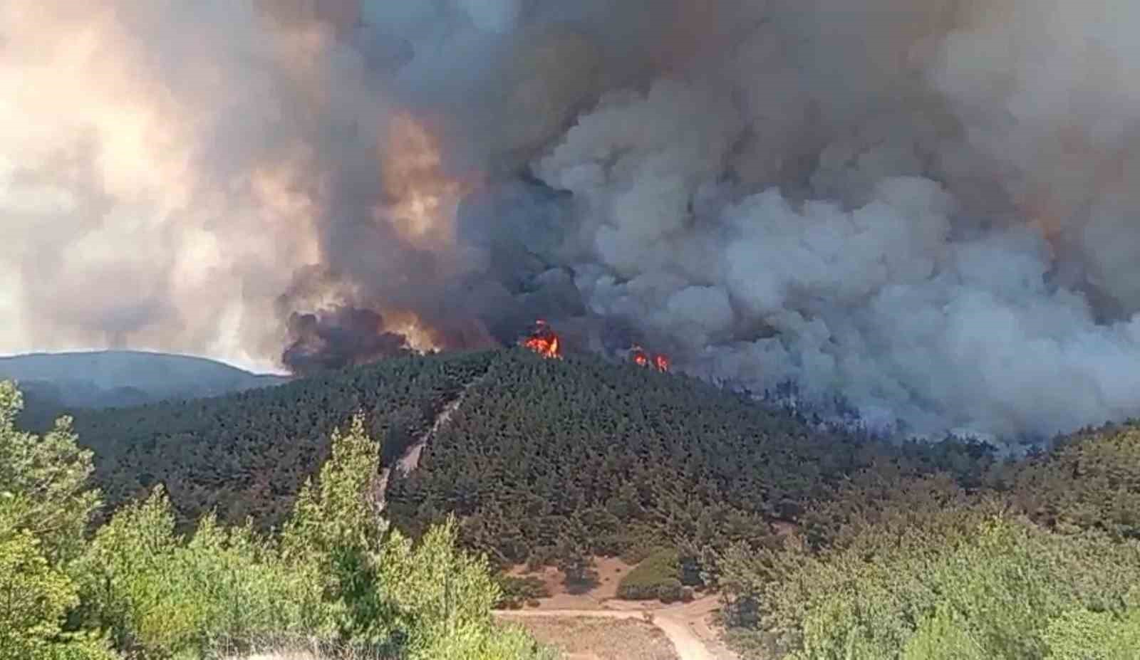Foça’da orman yangınına havadan 11 uçakla müdahale