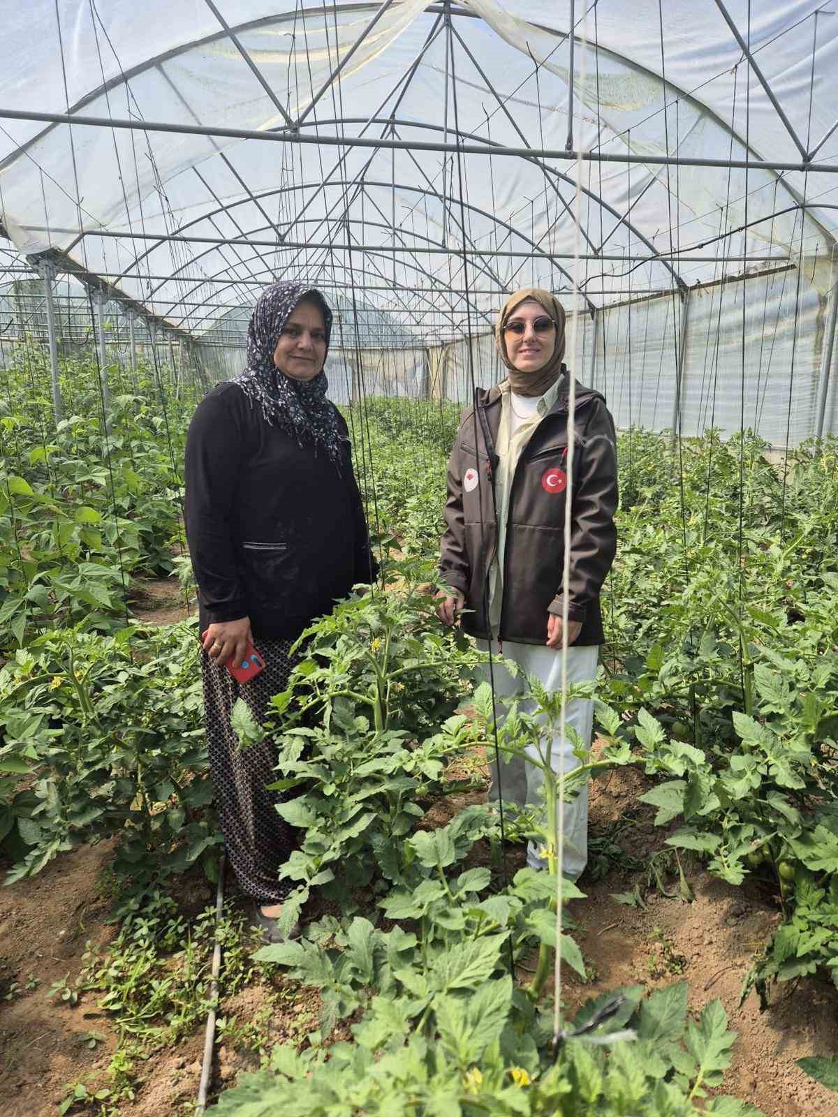 Düzce’de sebze üretimine destek

