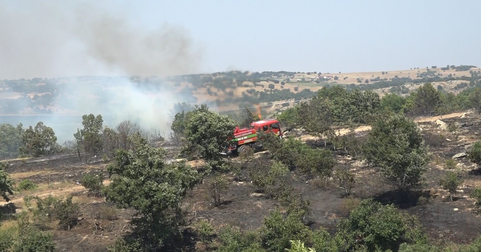 Kırklareli’nde ceviz bahçesi ve orman alanında yangın