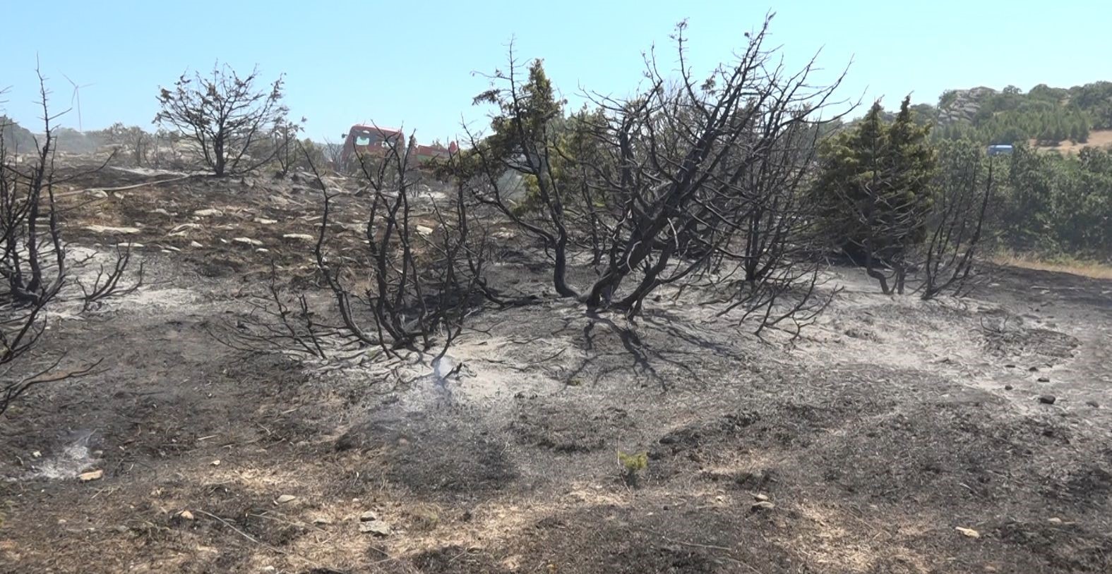 Kırklareli’nde ceviz bahçesi ve orman alanında yangın
