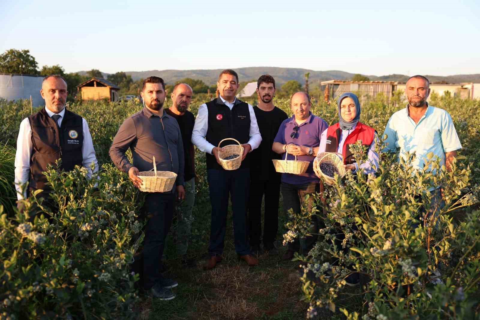 S&uuml;per meyvenin hasadını vali elleriyle yaptı
