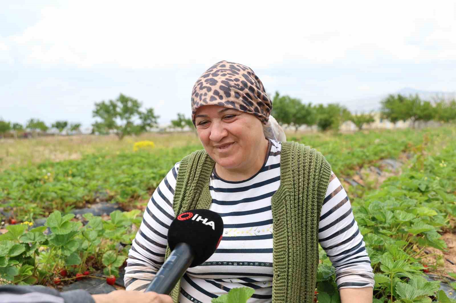 6 fideyle başladı, 60 bin fideye ulaştı
