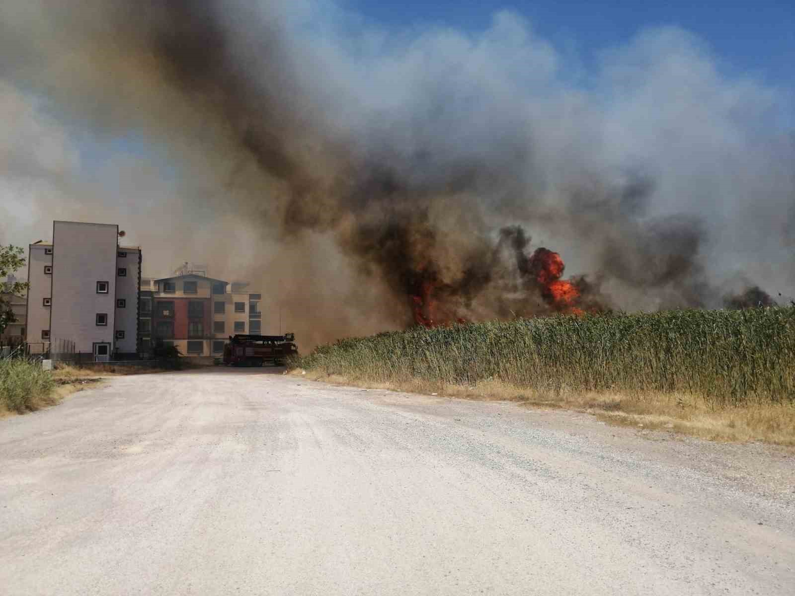 Edremit&rsquo;te sazlık alanda yangın
