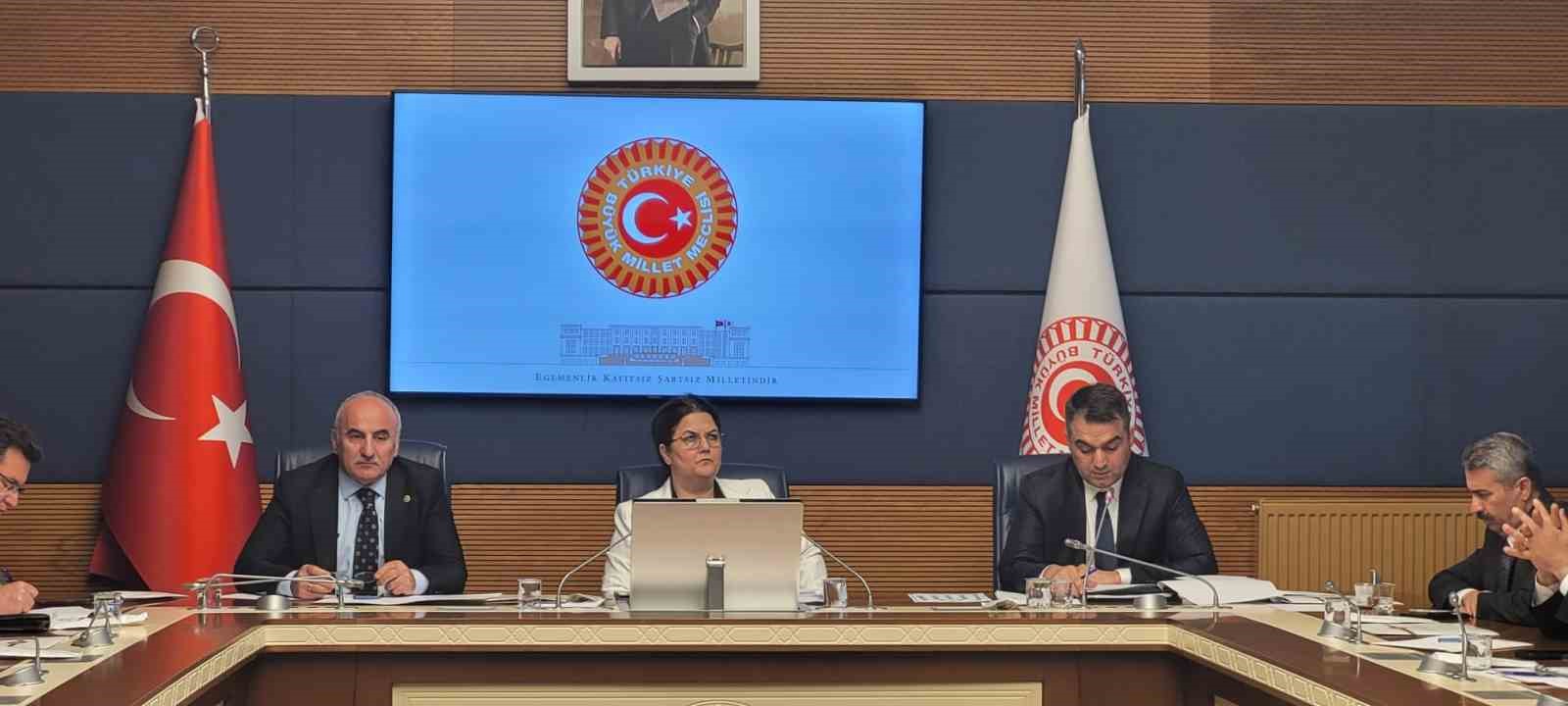 TBMM İnsan Haklarını İnceleme Komisyonu, alt komisyonların kurulması amacıyla toplandı