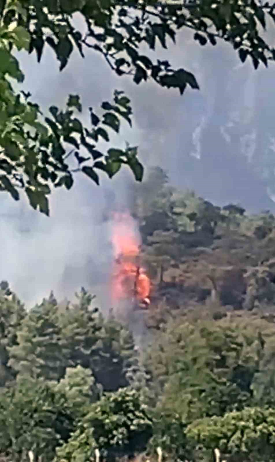 Köyceğiz’de orman yangını başladı