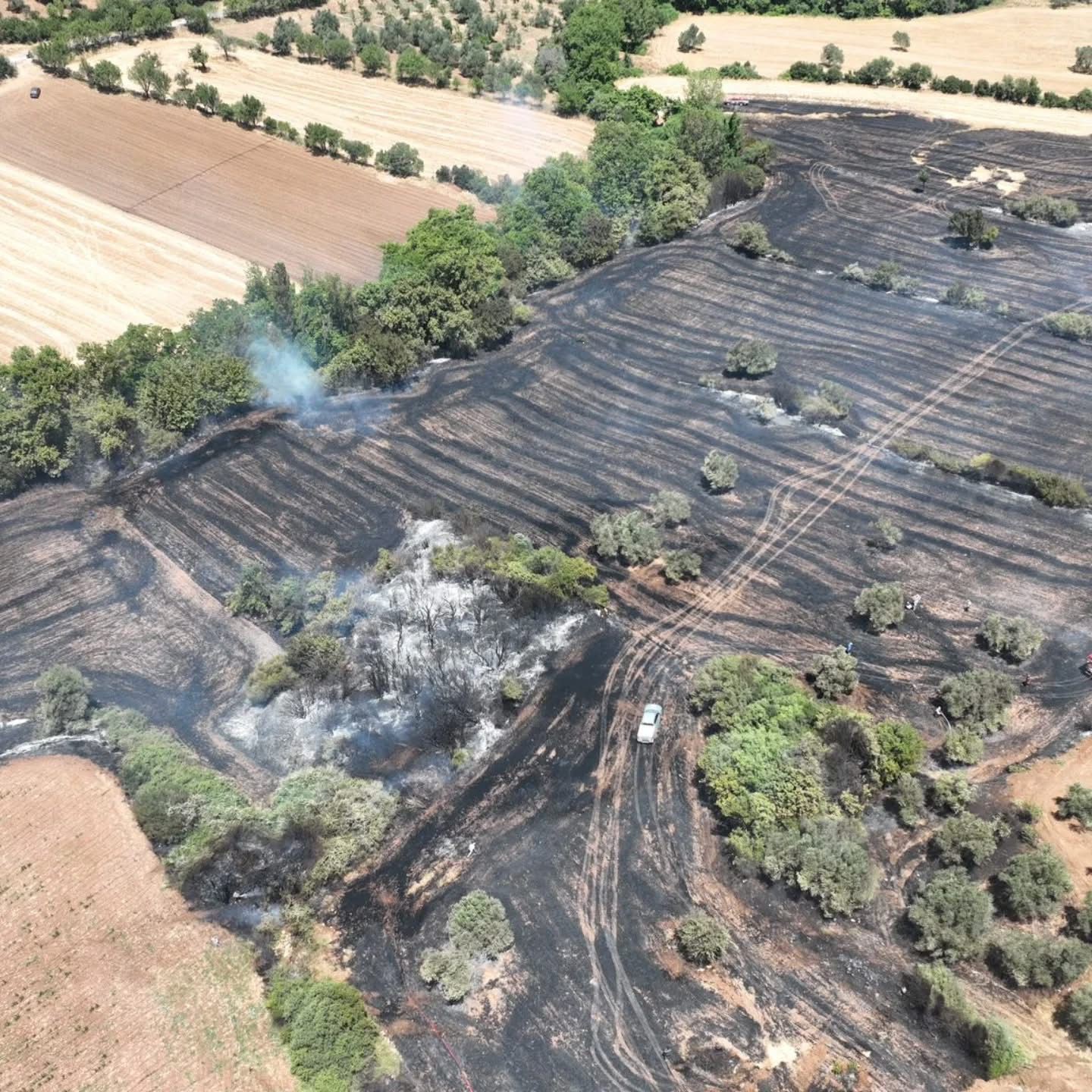 Bayrami&ccedil;&rsquo;te tarım arazisinde &ccedil;ıkan yangın kontrol altına alındı

