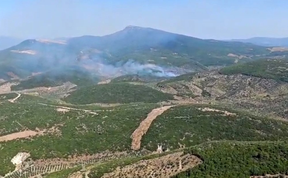 İzmir Torbalı’da orman yangınına müdahale sürüyor