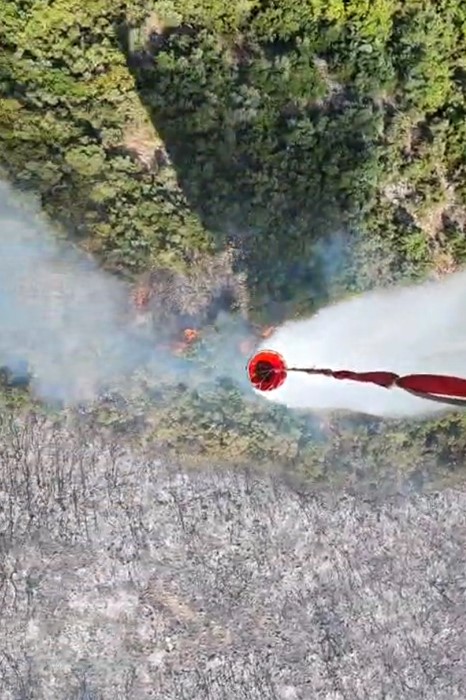 İzmir Torbalı&rsquo;da orman yangınına m&uuml;dahale s&uuml;r&uuml;yor
