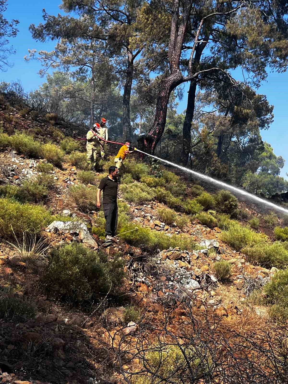 K&ouml;yceğiz&rsquo;de orman yangını ekiplerin hızlı m&uuml;dahalesiyle kontrol altına alındı
