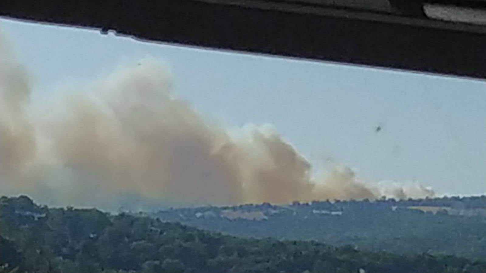 İvrindi’de orman yangını