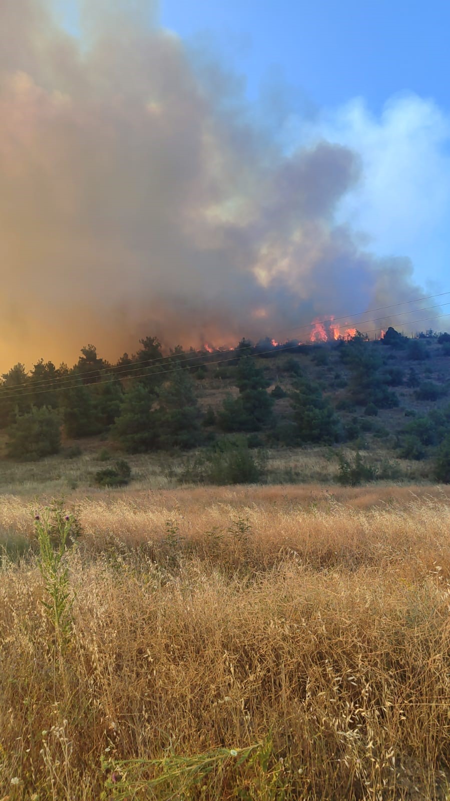 Bilecik&rsquo;te &ccedil;ıkan orman yangını NATO tesislerine sı&ccedil;radı
