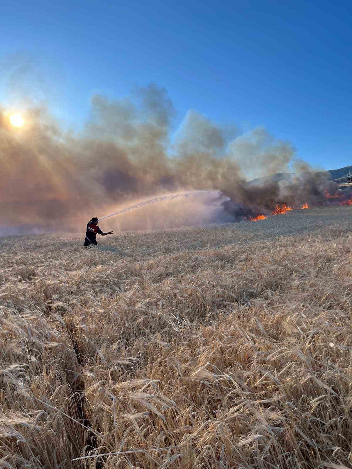 Merzifon’da 80 dönüm tarım arazisi yandı, yanan alan havadan görüntülendi