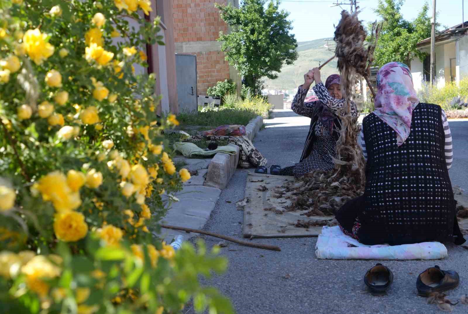 Kollar sağlık için sıvandı: Bayburtlu kadınların yün çırpma mesaisi başladı