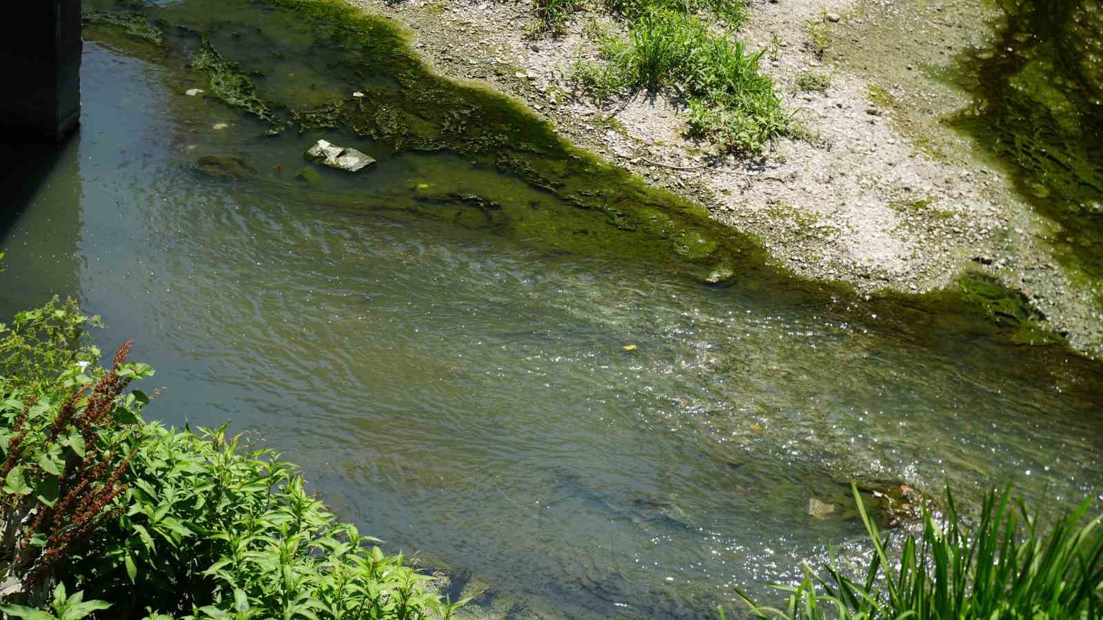 Arnavutk&ouml;y&rsquo;de k&ouml;t&uuml; kokulu dere tepkisi
