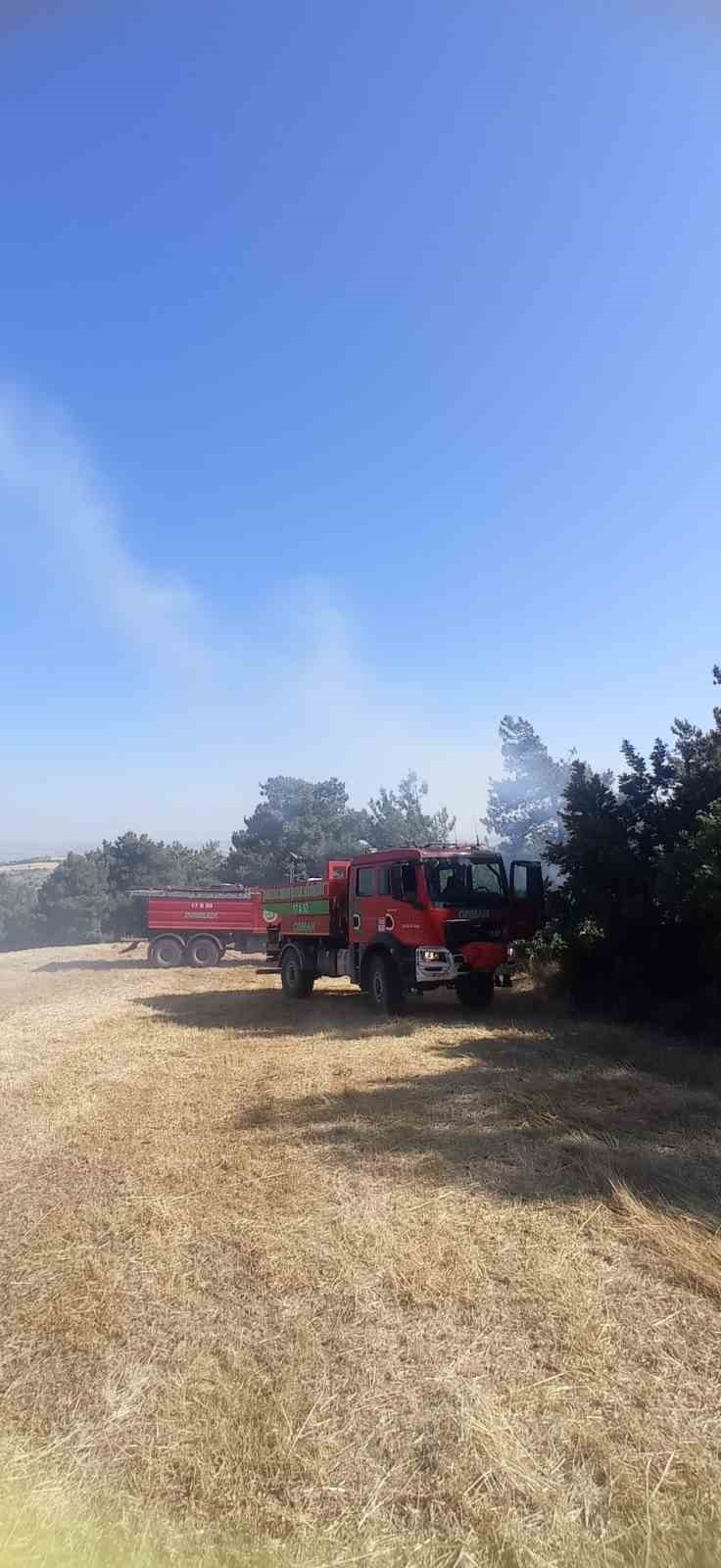 Lapseki’de ormanlık alanda çıkan yangın kontrol altına alındı
