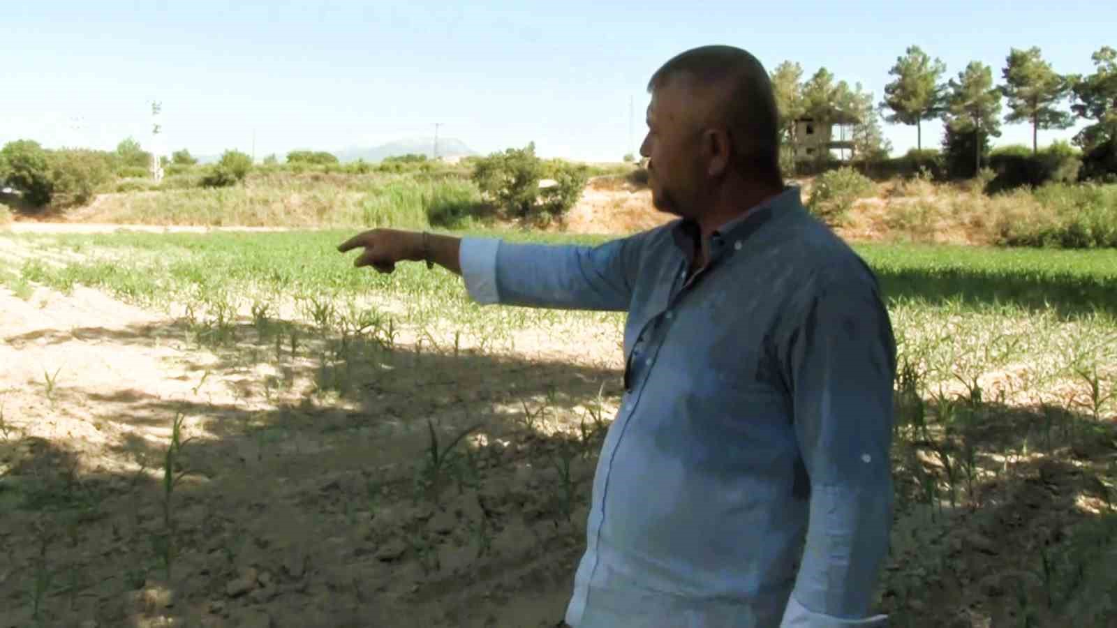Denizli DESKİ’den su kullanan çiftçinin 5 bin dönüme ektiği mahsulleri kurudu
