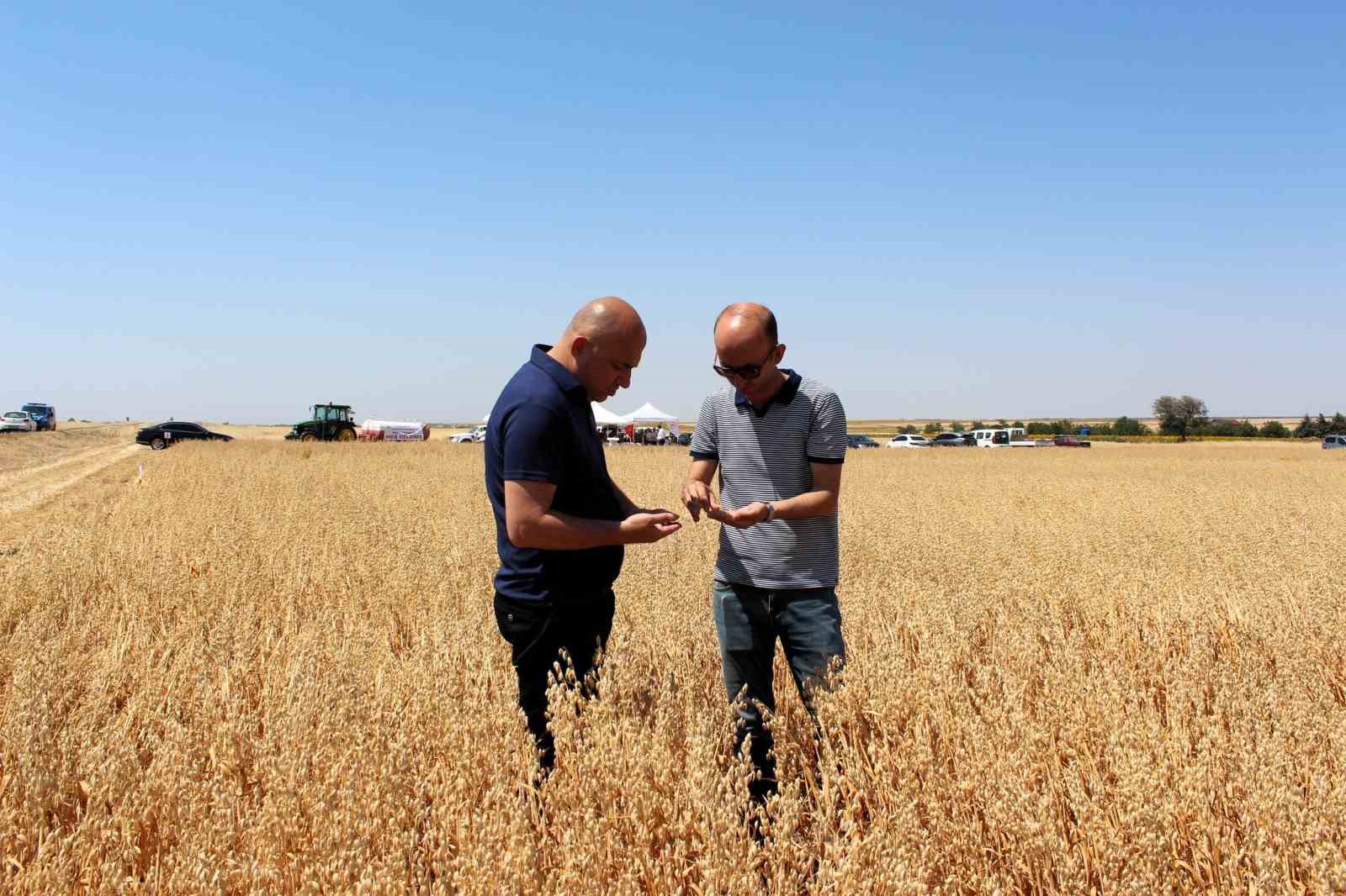 Kırklareli’nde yerli milli 3 yulaf çeşidi hasat edildi
