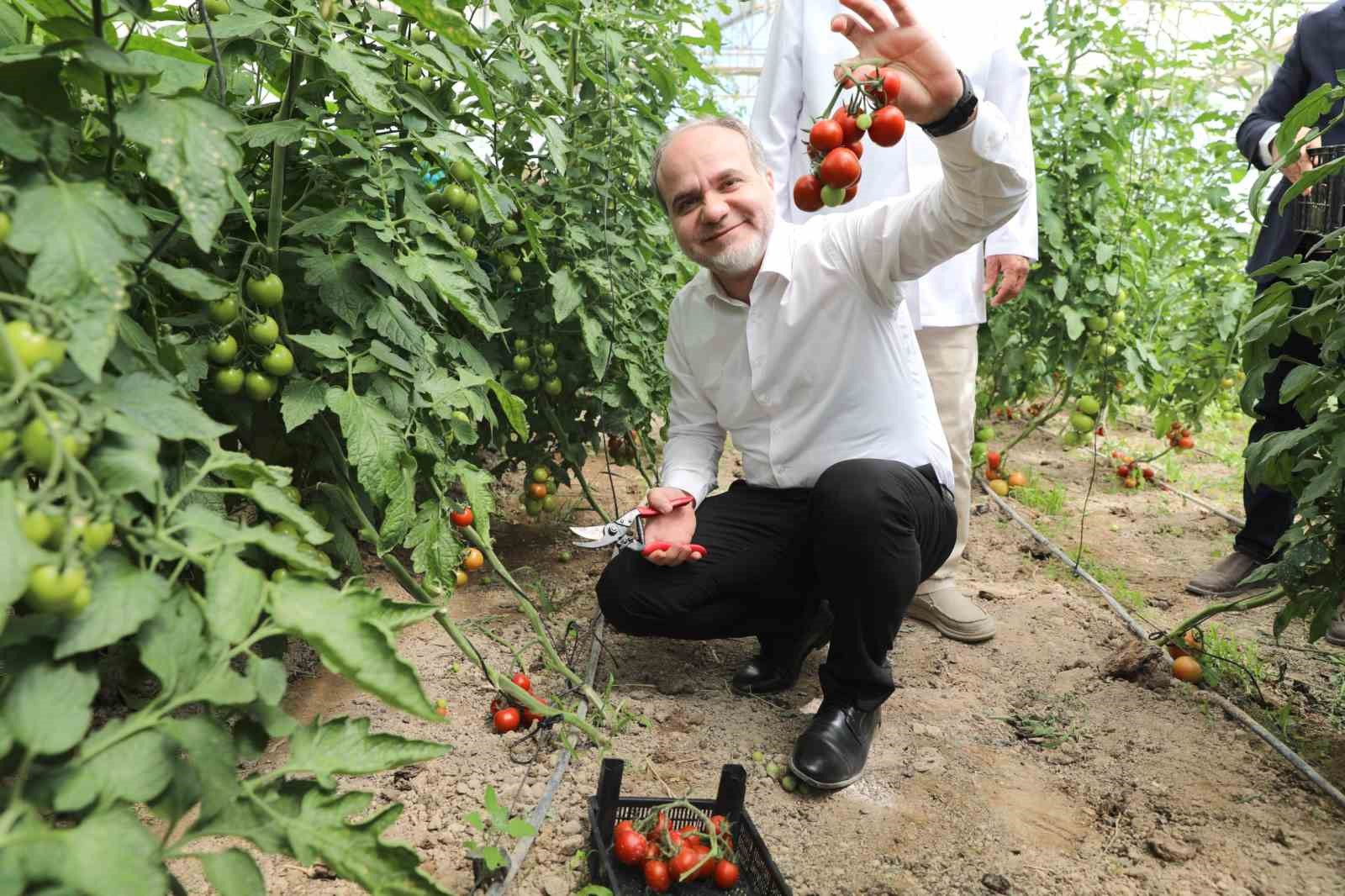 Üreten üniversite NÖHÜ, tarım faaliyetlerine devam ediyor