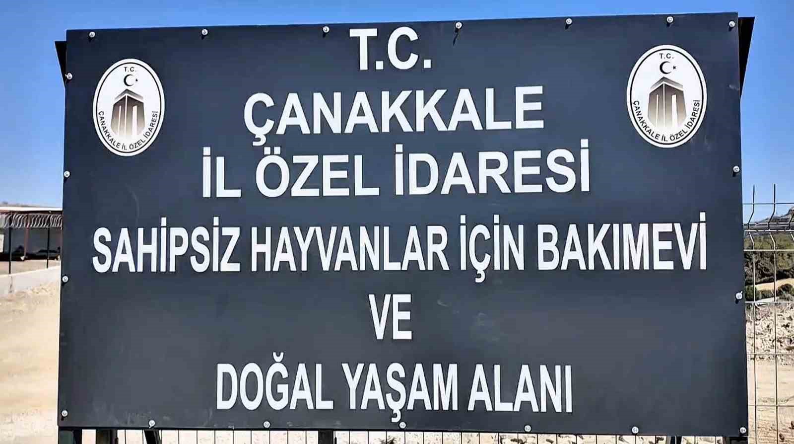 &Ccedil;anakkale&rsquo;de sahipsiz hayvanlar i&ccedil;in bakımevi ve doğal yaşam alanı a&ccedil;ıldı
