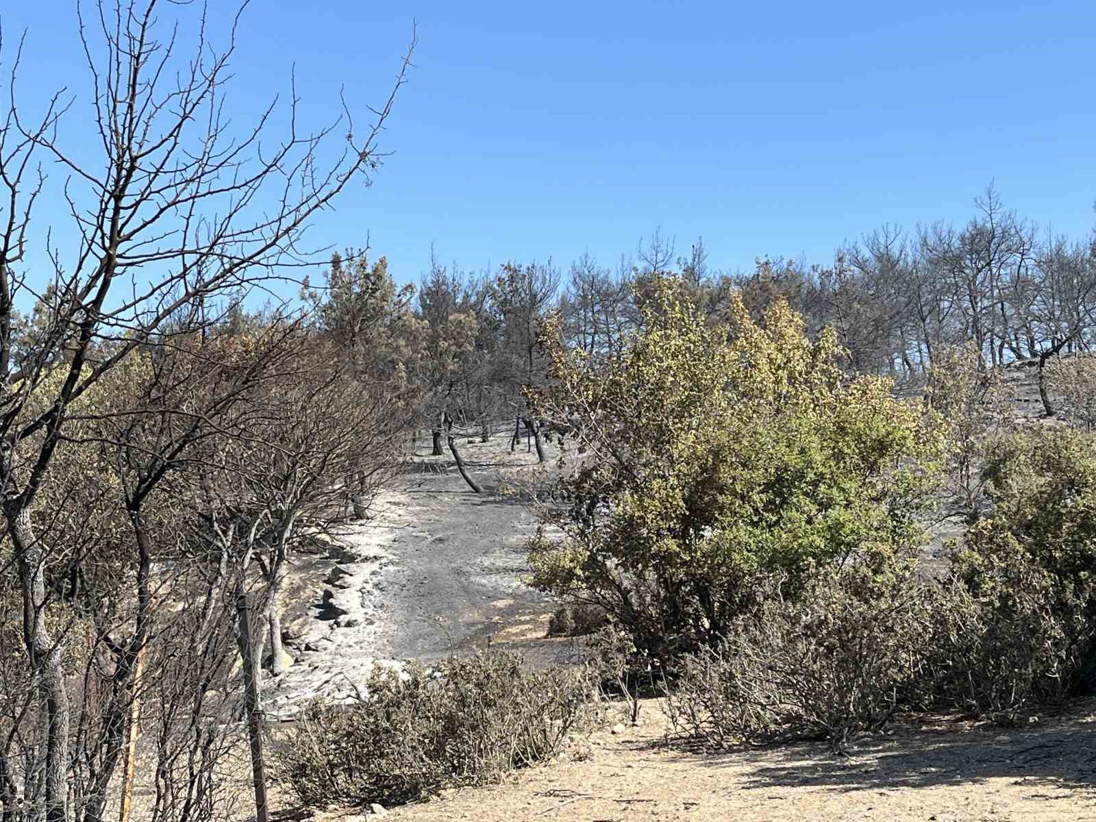 İzmir Aliağa yangını kontrol altında