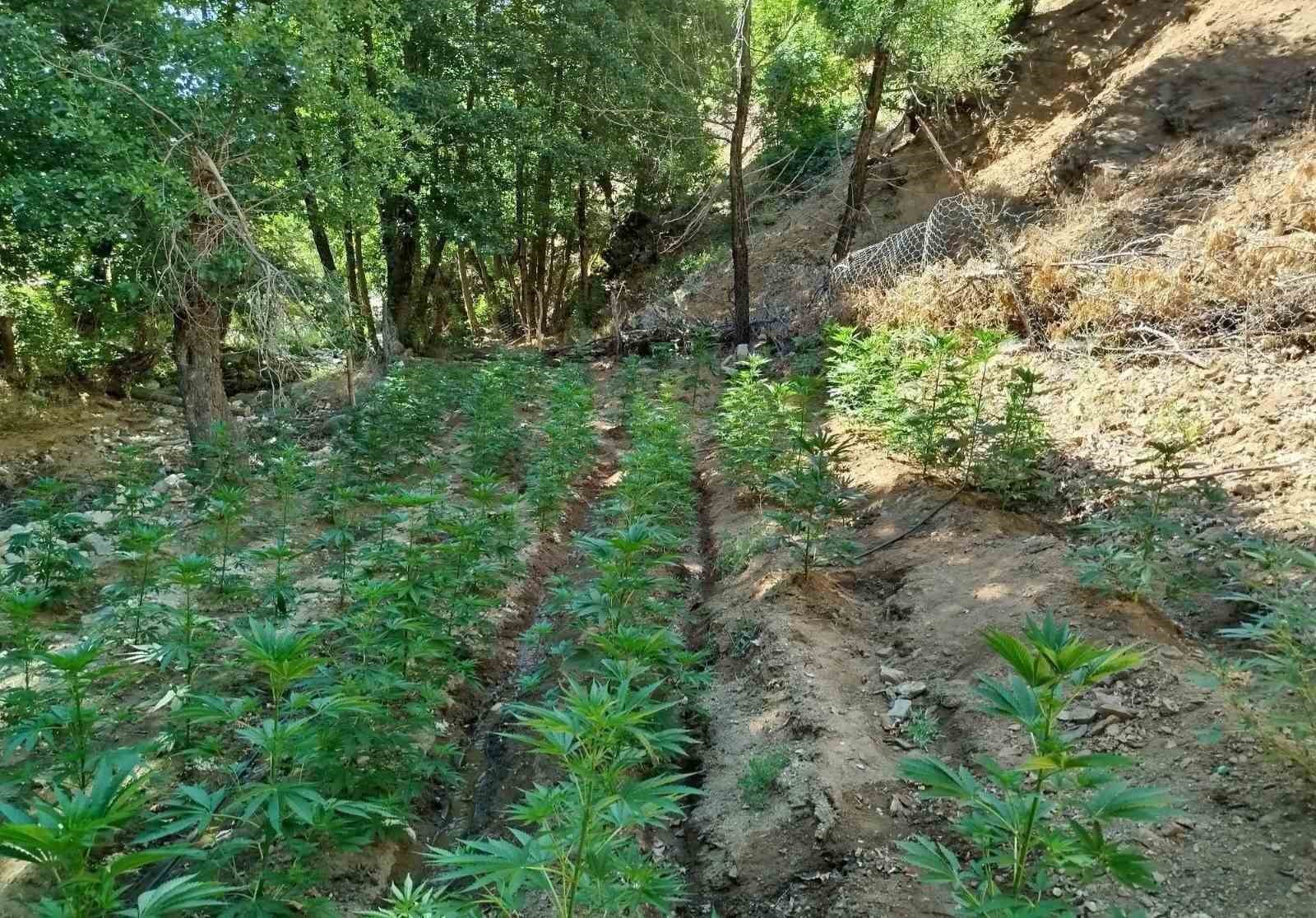 Bingöl’de uyuşturucu operasyonu