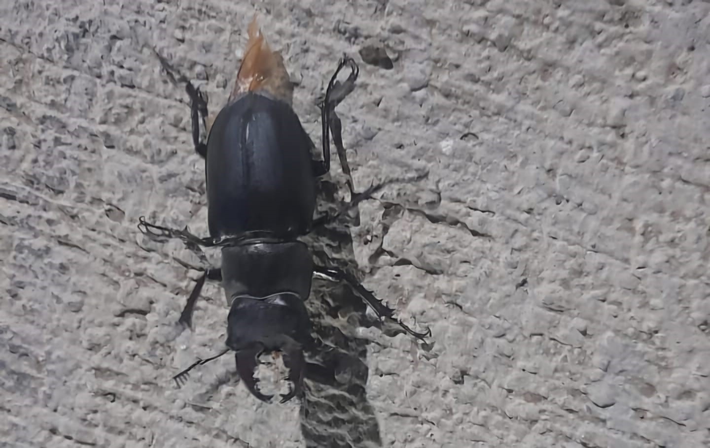 Tunceli&rsquo;de g&ouml;r&uuml;ld&uuml;: Zarar vermenin cezası 557 bin TL
