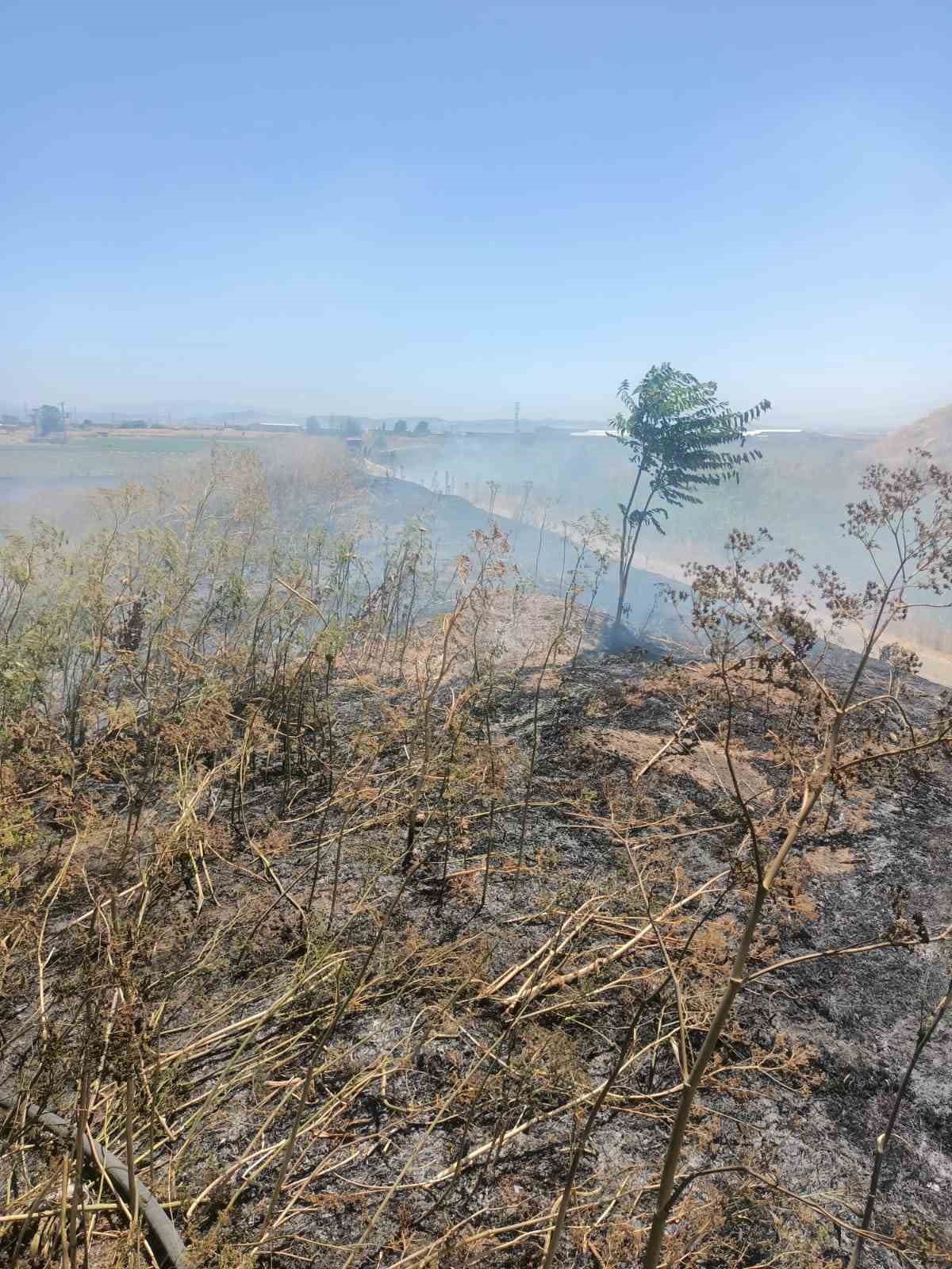Karesi il&ccedil;esinde anız yangını kontrol altına alındı

