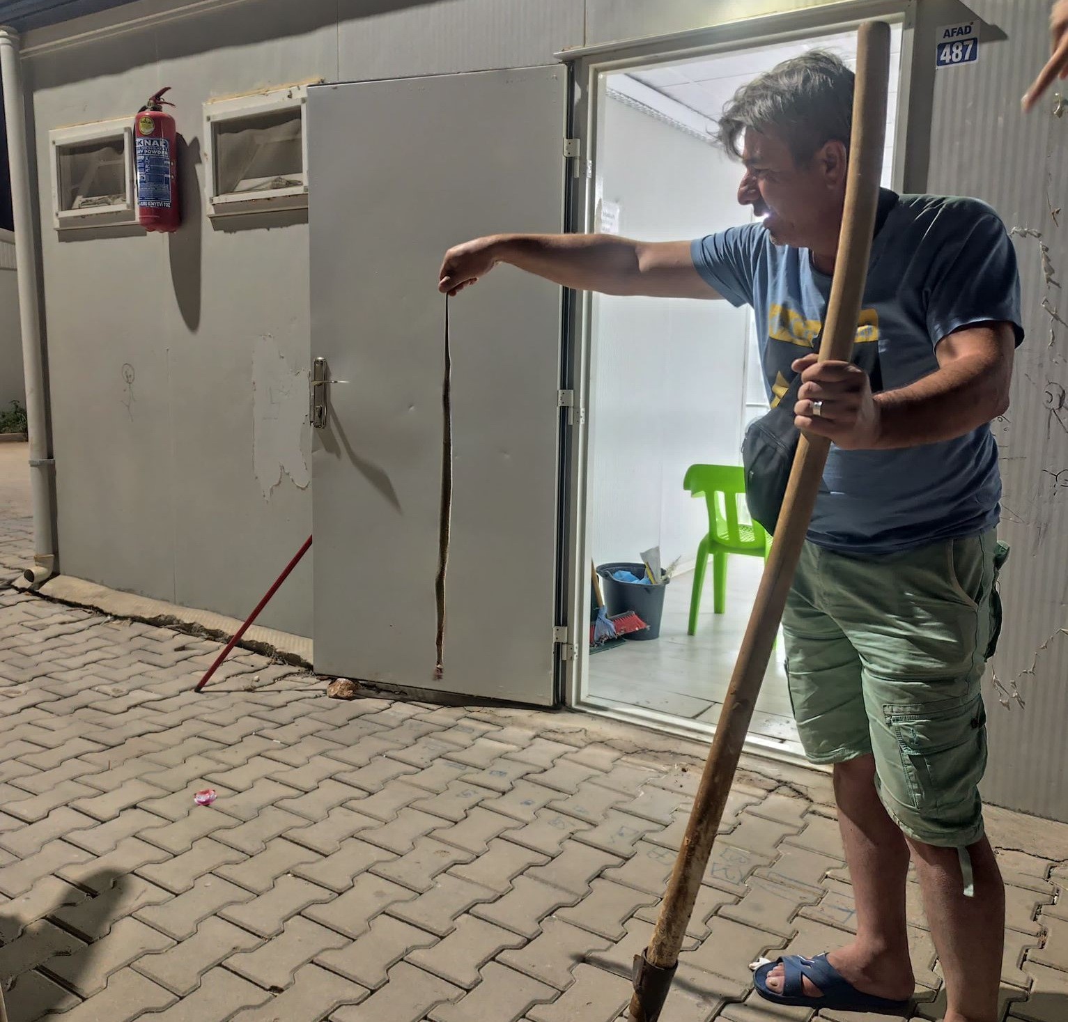 Konteynere giren yılan paniğe neden oldu