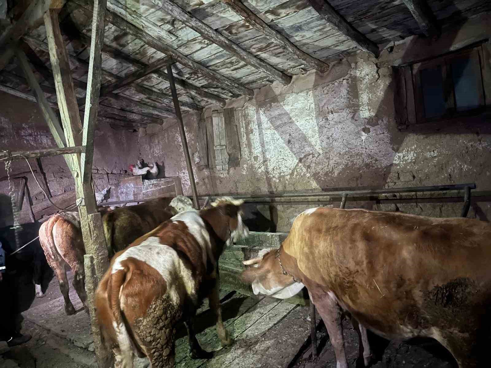 Yaşlı kadının 2 katlı evi küle döndü
