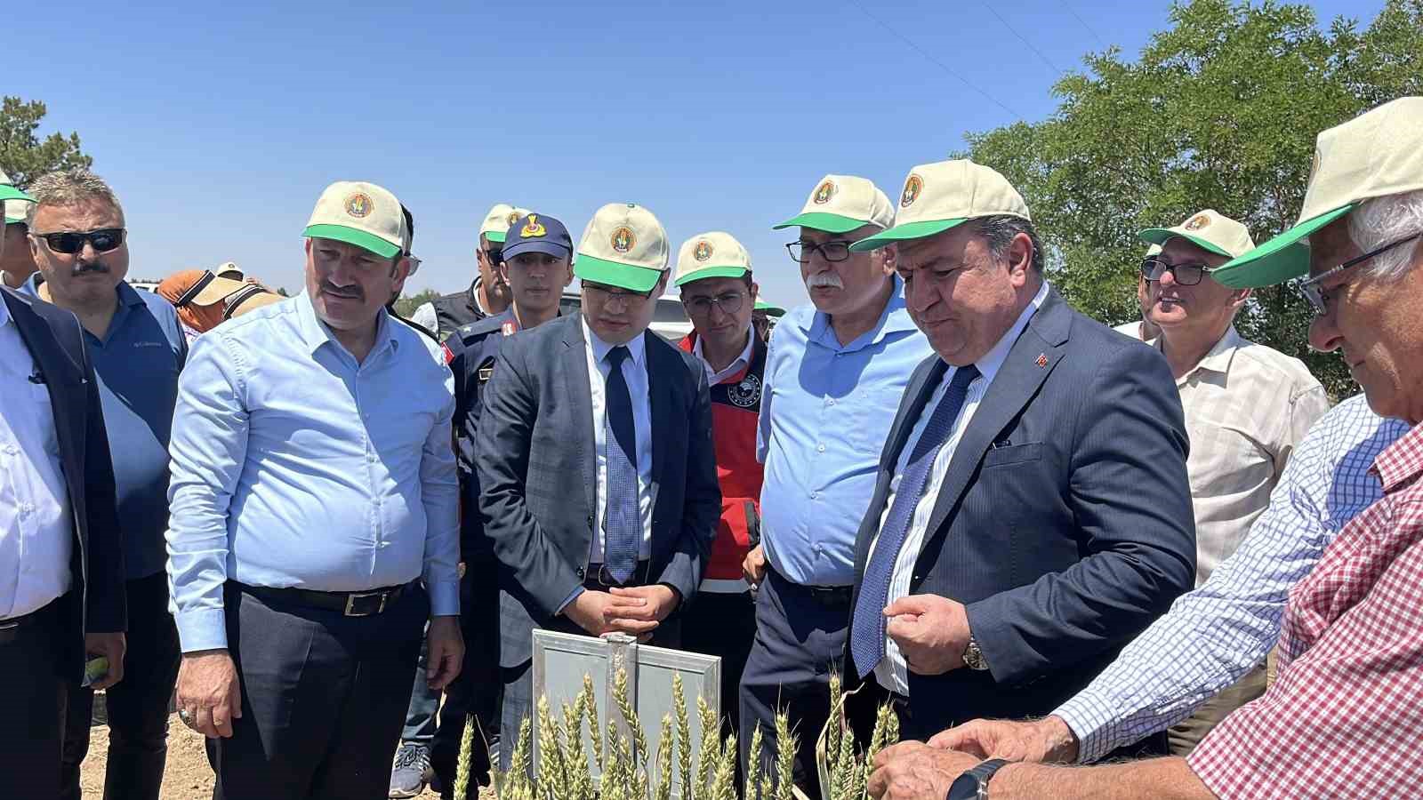 Türkiye’de hububatta toprağa düşen her dört tohumdan birini TİGEM üretiyor